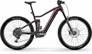 Centurion No Pogo R3700i deeper purple/anthrazit 2022 29"; 750 Wh Diamant