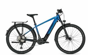 Raleigh DUNDEE 12 pacificblue/magicblack glossy 2021 29"; 625 Wh Diamant