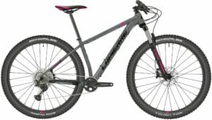 Lapierre Prorace 3.9 W grau 2021 29"; Diamant