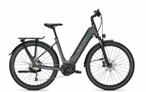 Raleigh KENT 10 XXL granitegrey matt 2021 28"; 625 Wh Wave