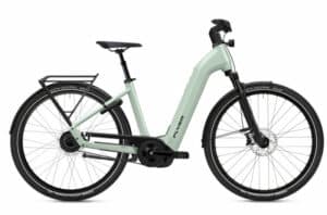 Flyer Gotour 7.23 Frosty Sage Gloss 2023 28"; 750 Wh Wave
