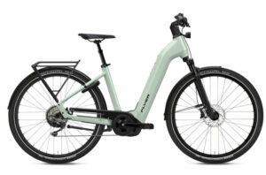 Flyer Gotour 7.10 Frosty Sage Gloss 2023 28"; 750 Wh Wave