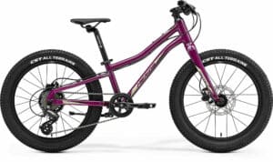 Merida MATTS J.20+ PURPLE 2023 20"; Diamant