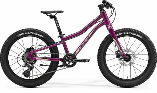 Merida MATTS J.20+ PURPLE 2023 20"; Diamant