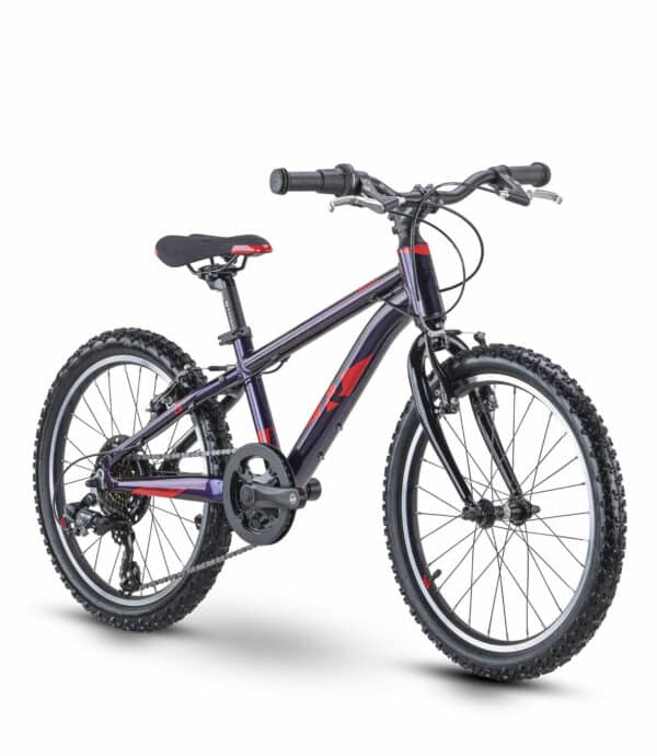 Raymon TwoRay 1.0 purple/red 2021 20"; Diamant