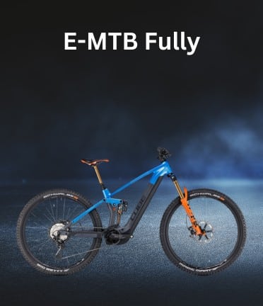 E-MTB Fully